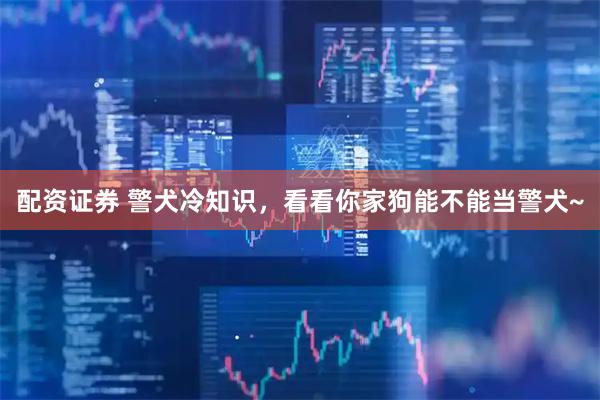 配资证券 警犬冷知识，看看你家狗能不能当警犬~