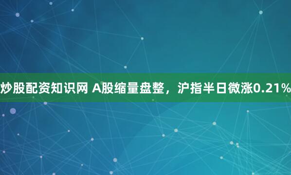 炒股配资知识网 A股缩量盘整，沪指半日微涨0.21%