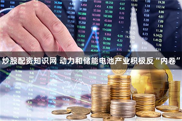 炒股配资知识网 动力和储能电池产业积极反“内卷”